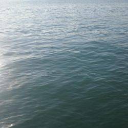 これで本当に釣り納め！