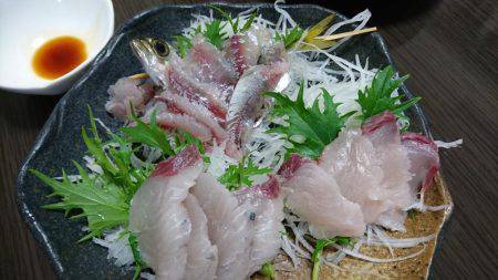 まだまだ青物狙い！