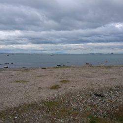 雨上がり!大潮!朝マヅメ!