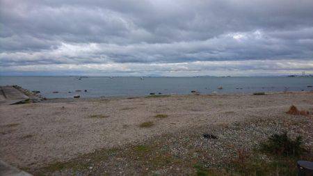 雨上がり!大潮!朝マヅメ!