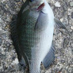 日中にまったりと