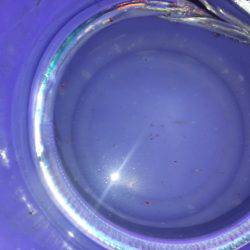 時合いなく前半のみ