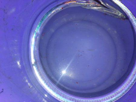 時合いなく前半のみ