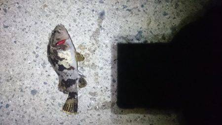 久しぶりにロック。