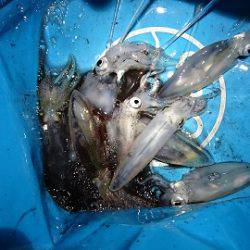 ヒイカエギング