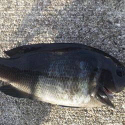 爆風の中・・・