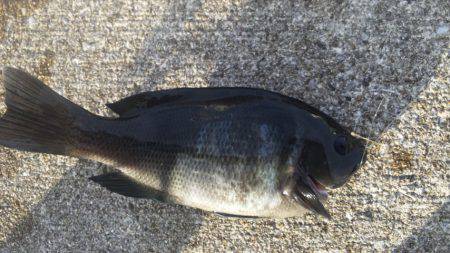 爆風の中・・・