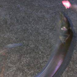 合わせは難しいねえ