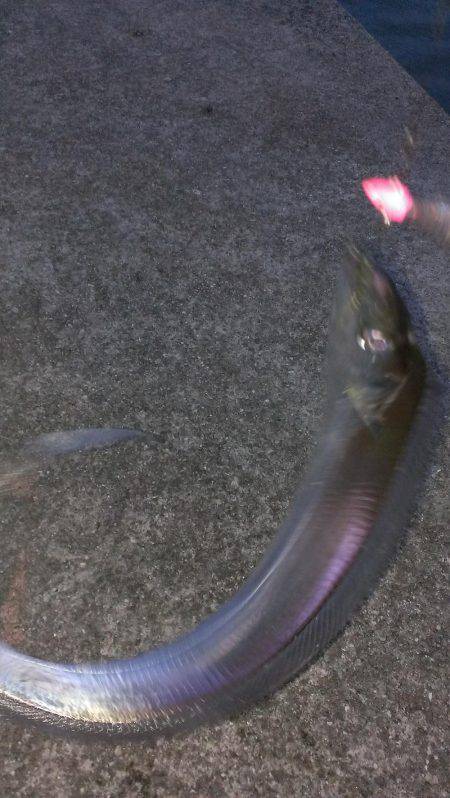 合わせは難しいねえ