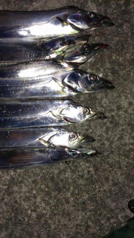 今季一番の釣果