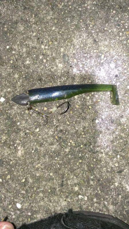 活性上がってる？