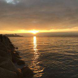 まだおったんか〜い