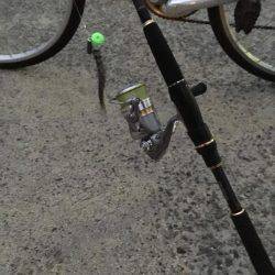 まだ少し居てます