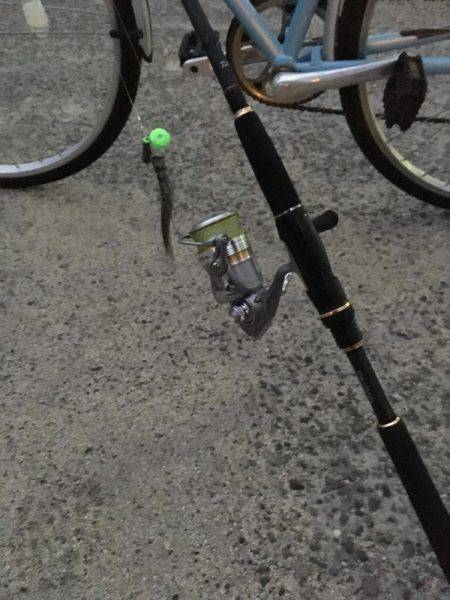 まだ少し居てます