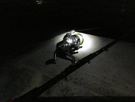 タチウオ終盤戦か?