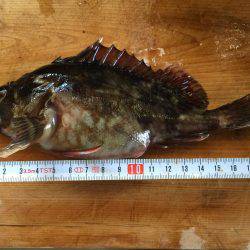 これから本番だー！