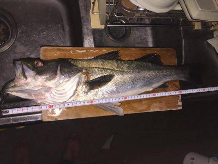 ガシラ狙いのはずが・・・