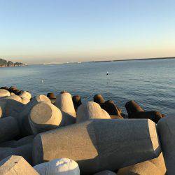 ロックフィッシュ