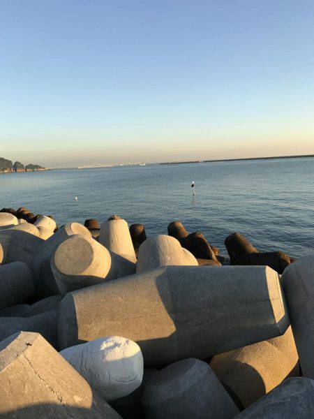 ロックフィッシュ