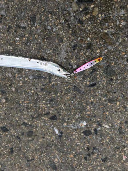 メタルジクで根魚狙い