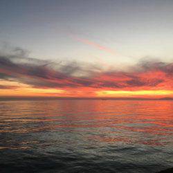 落ちキス。アジは好調