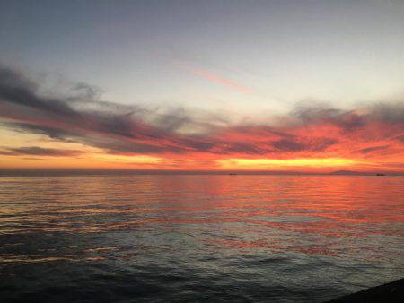 落ちキス。アジは好調