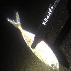 着いたと同時にまさかの…