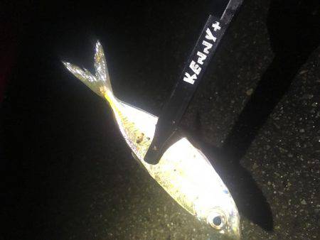 着いたと同時にまさかの…