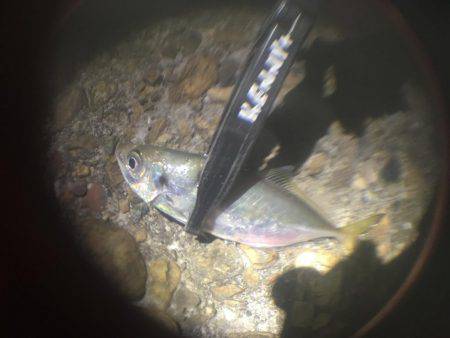 何狙いでもない。