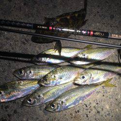 いないと思ってたけどぉ⤴︎