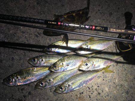 いないと思ってたけどぉ⤴︎