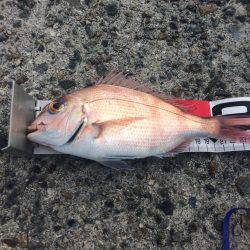 狙え!お正月用の真鯛 at 垂水一文字(兼 投げ練7日目)