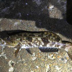 五目ライトGAME！