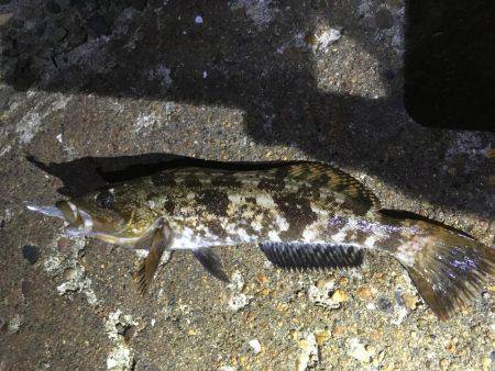 五目ライトGAME！