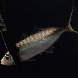 これぞライトゲーム。