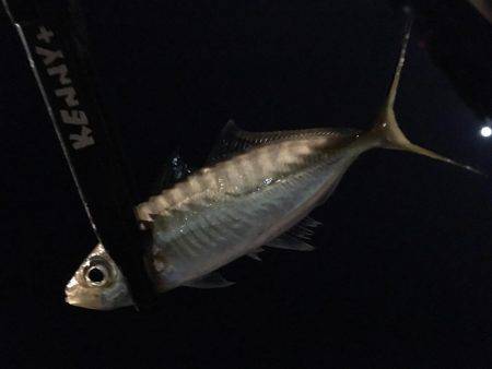 これぞライトゲーム。