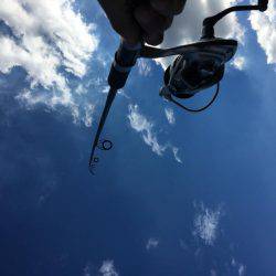 落ちギスちょい投げ