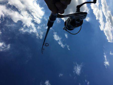 落ちギスちょい投げ