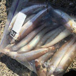 落ちギスちょい投げ