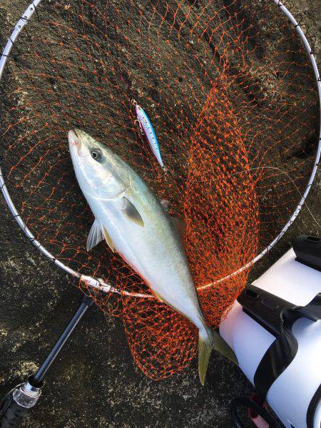 ロックショアジギング