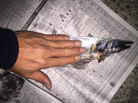 目指せドラゴン