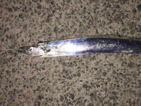 ドラゴンかな❓