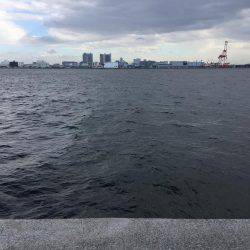 ショアジギング