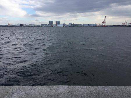 ショアジギング