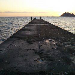 阿南市の辰巳北突堤テンヤでタチウオ