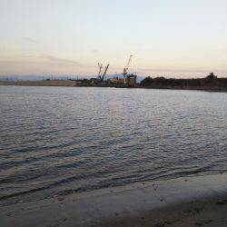 阿南市の那賀川河口テンヤでタチウオ