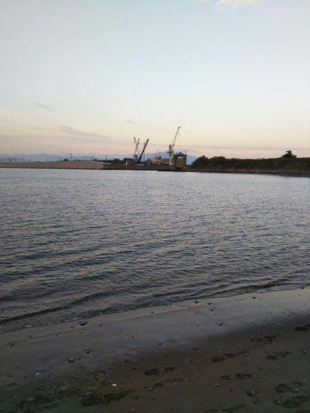 阿南市の那賀川河口テンヤでタチウオ