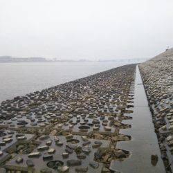 阿南市の那賀川河口テンヤでタチウオ