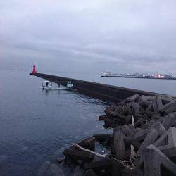 早起きしたから6時~8時でロックフイッシュ