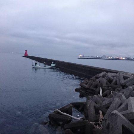 早起きしたから6時~8時でロックフイッシュ